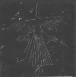 The Bird, Nazca