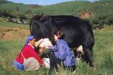 Granja Porcón, Cajamarca