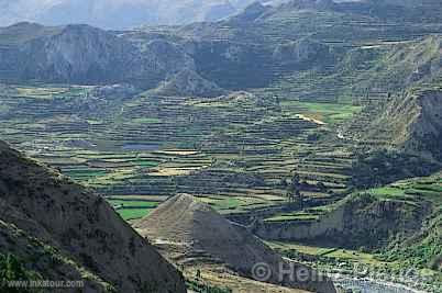 Colca Canyon