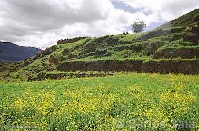 Photo of Peru