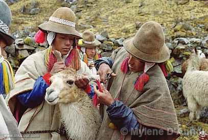 Photo of Peru