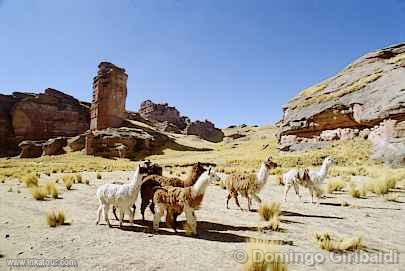 Photo of Peru