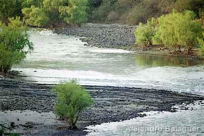 Tumbes River