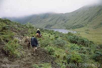 Photo of Peru