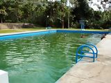 Thermal baths, Moyobamba