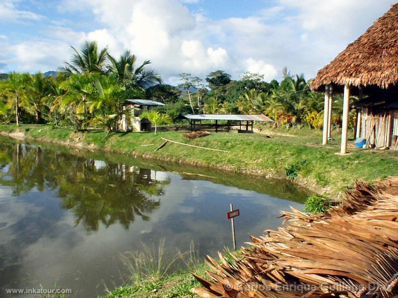 Recreo Milán, Moyobamba