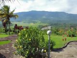 Puerto Mirador Hotel (Moyobamba)