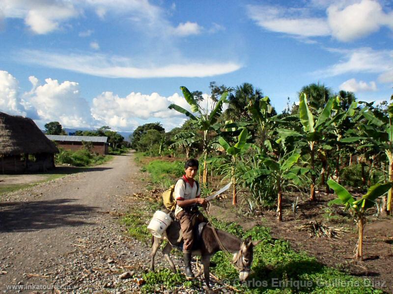 Photo of Peru