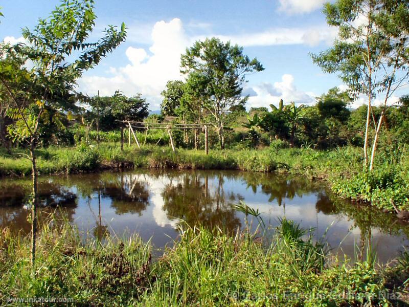 Photo of Peru