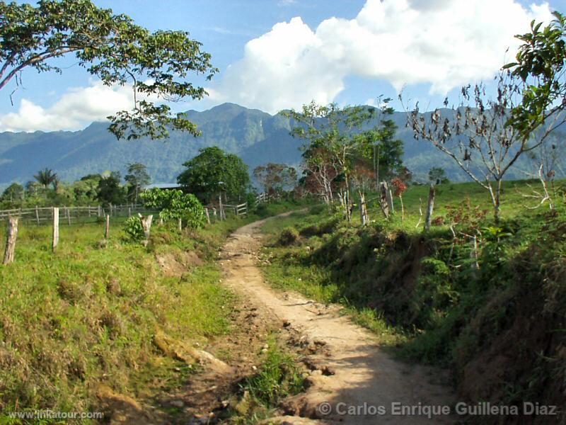 Rehabilitation of the road in Mashuyacu