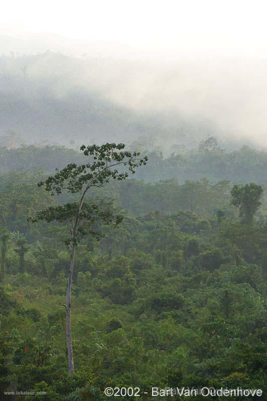 Photo of Peru