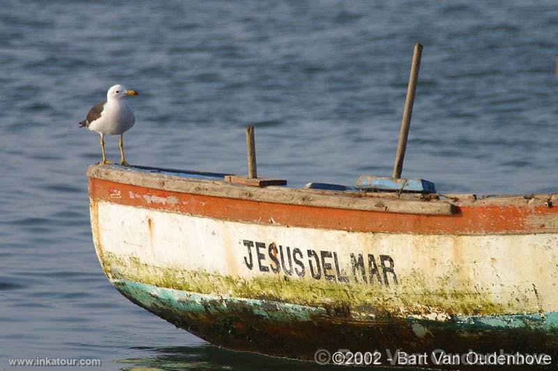 Photo of Peru