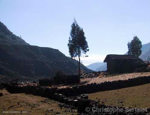 White Cordillera