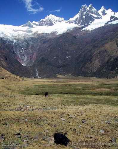 White Cordillera