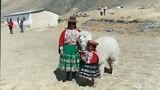 Trip Puno-Cuzco in train