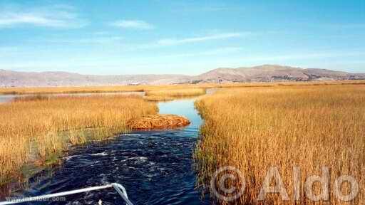 Photo of Peru