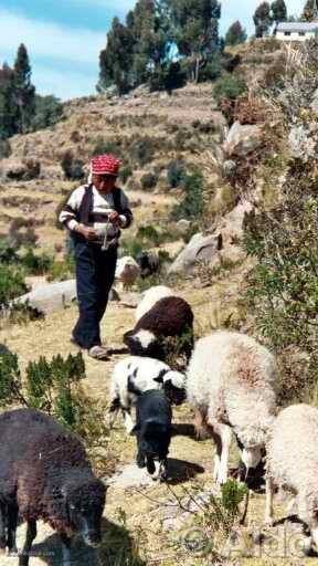 Photo of Peru