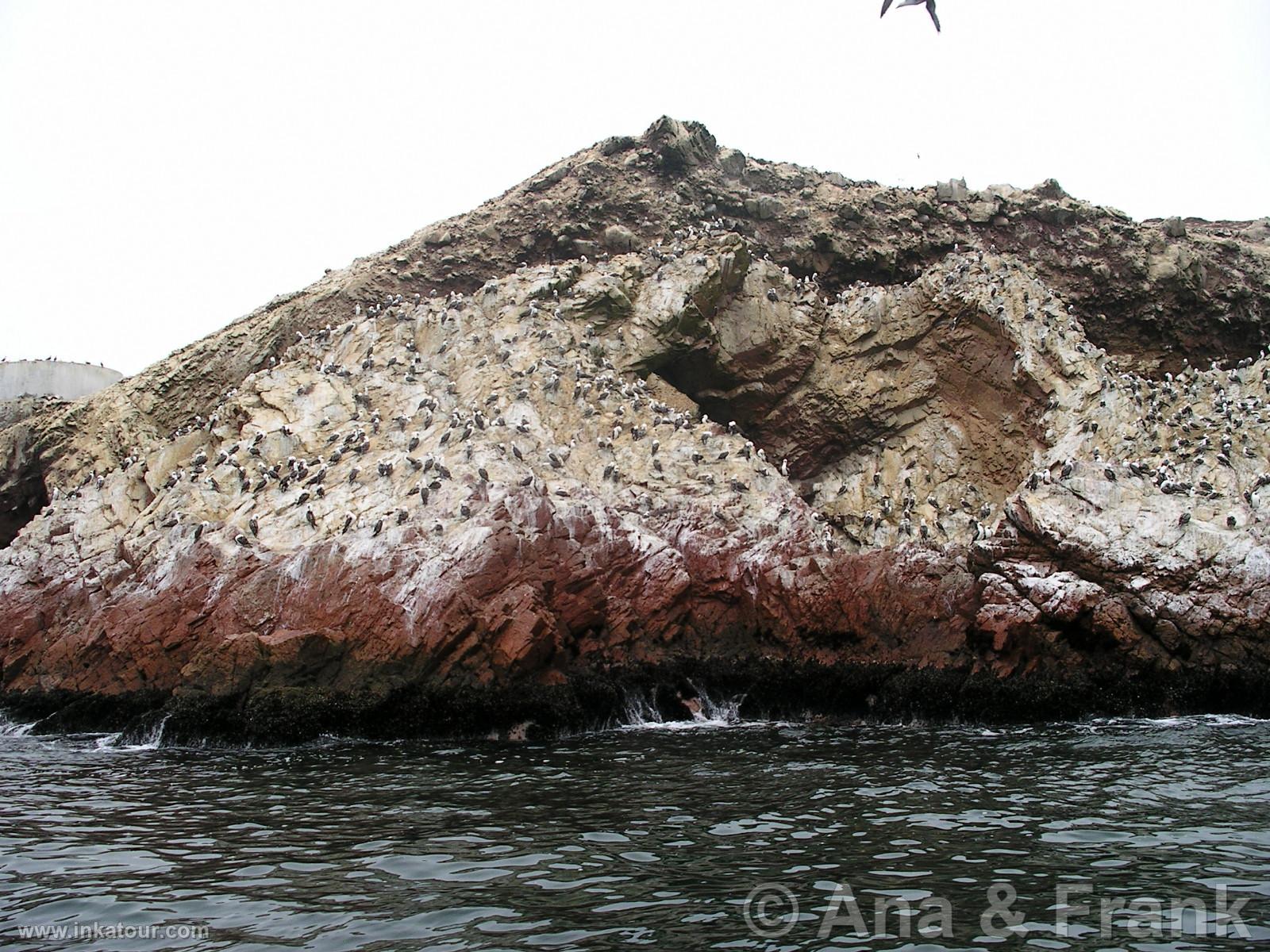 Paracas