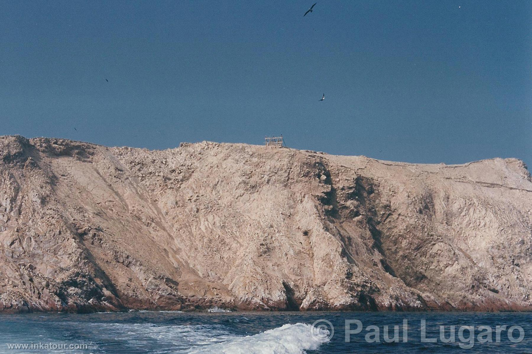 Ballestas, Paracas