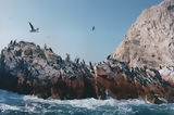 Ballestas, Paracas