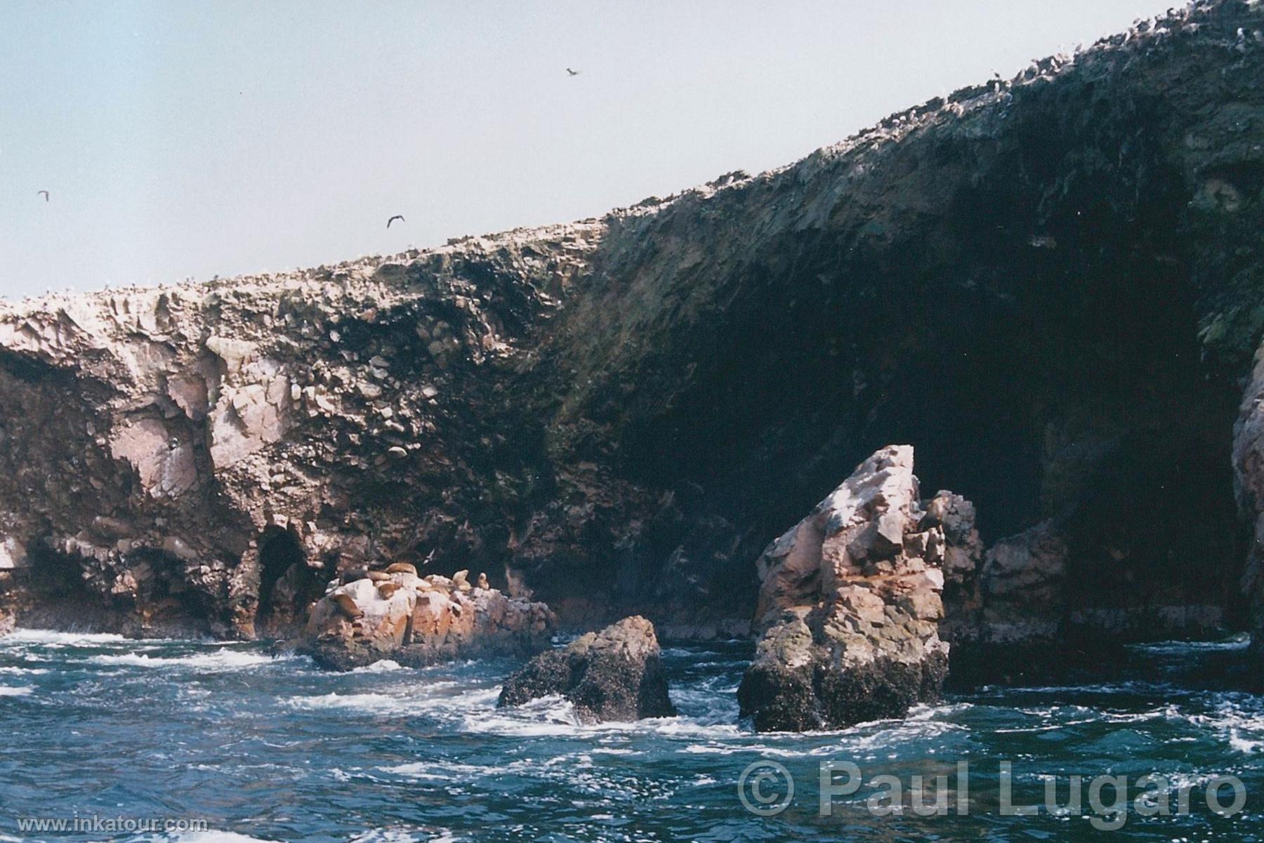 Ballestas, Paracas