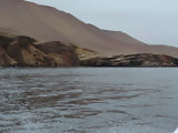 Ballestas, Paracas