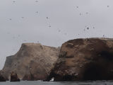 Ballestas, Paracas