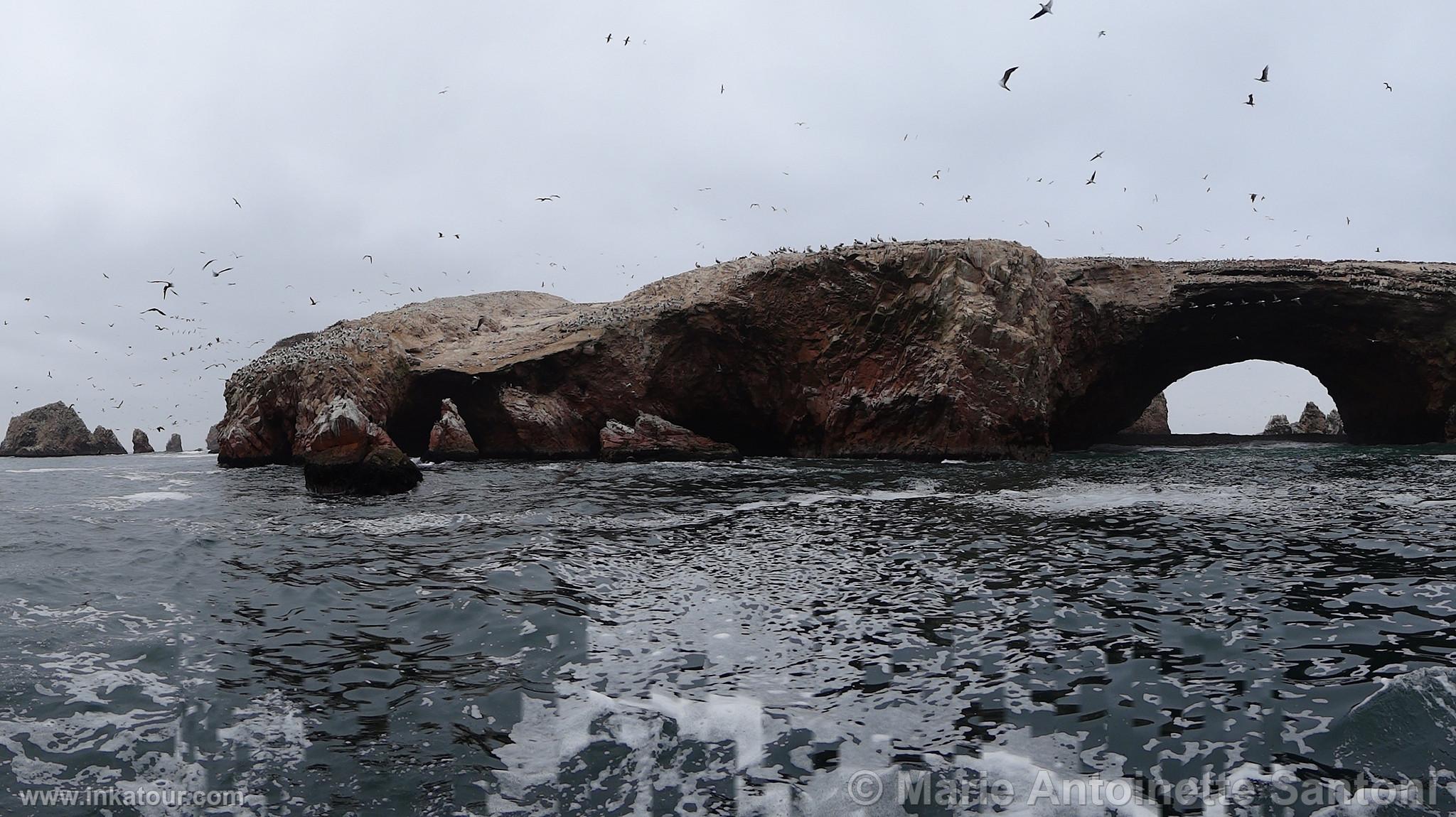 Ballestas, Paracas