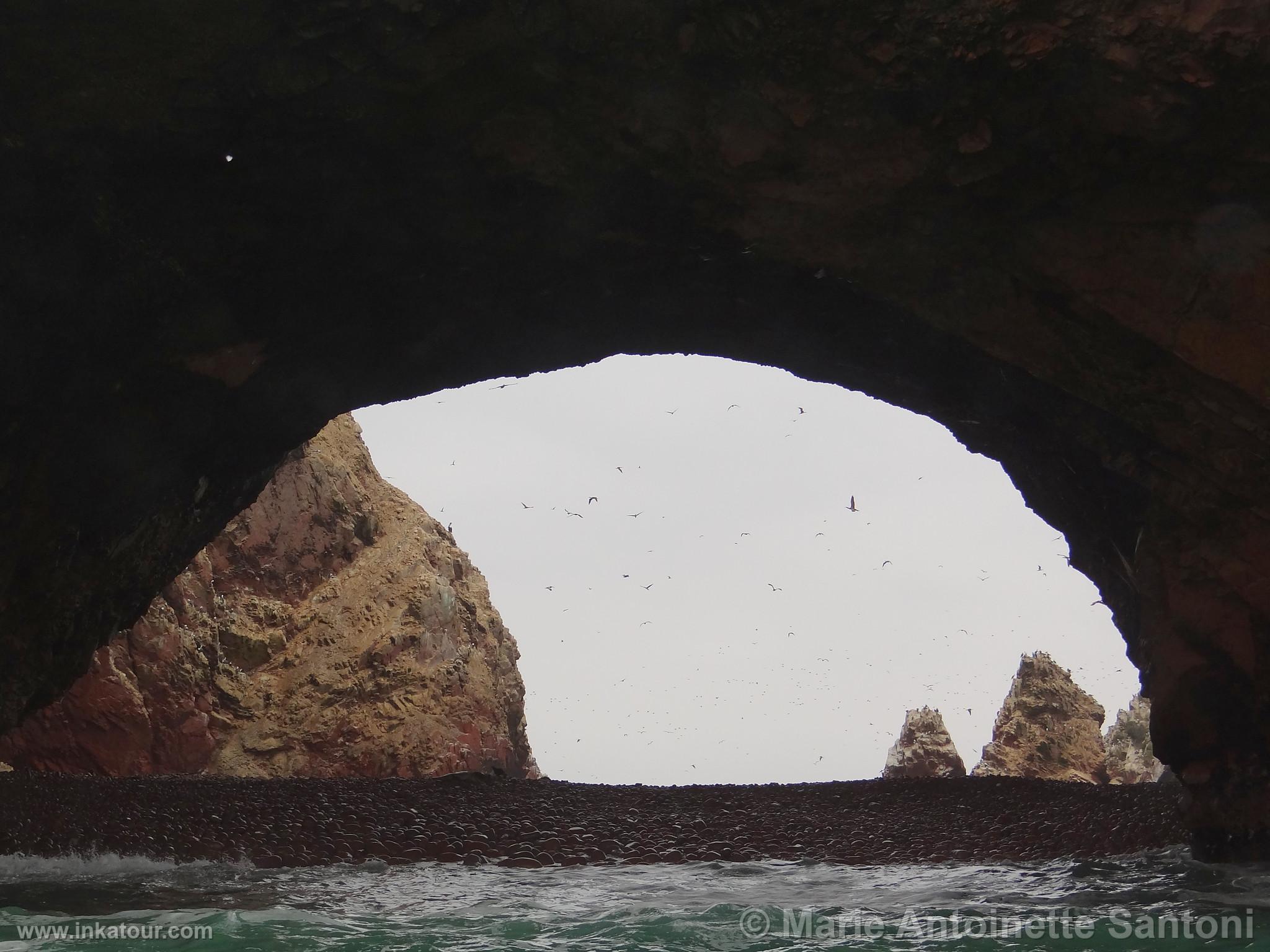 Ballestas, Paracas