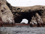 Ballestas, Paracas