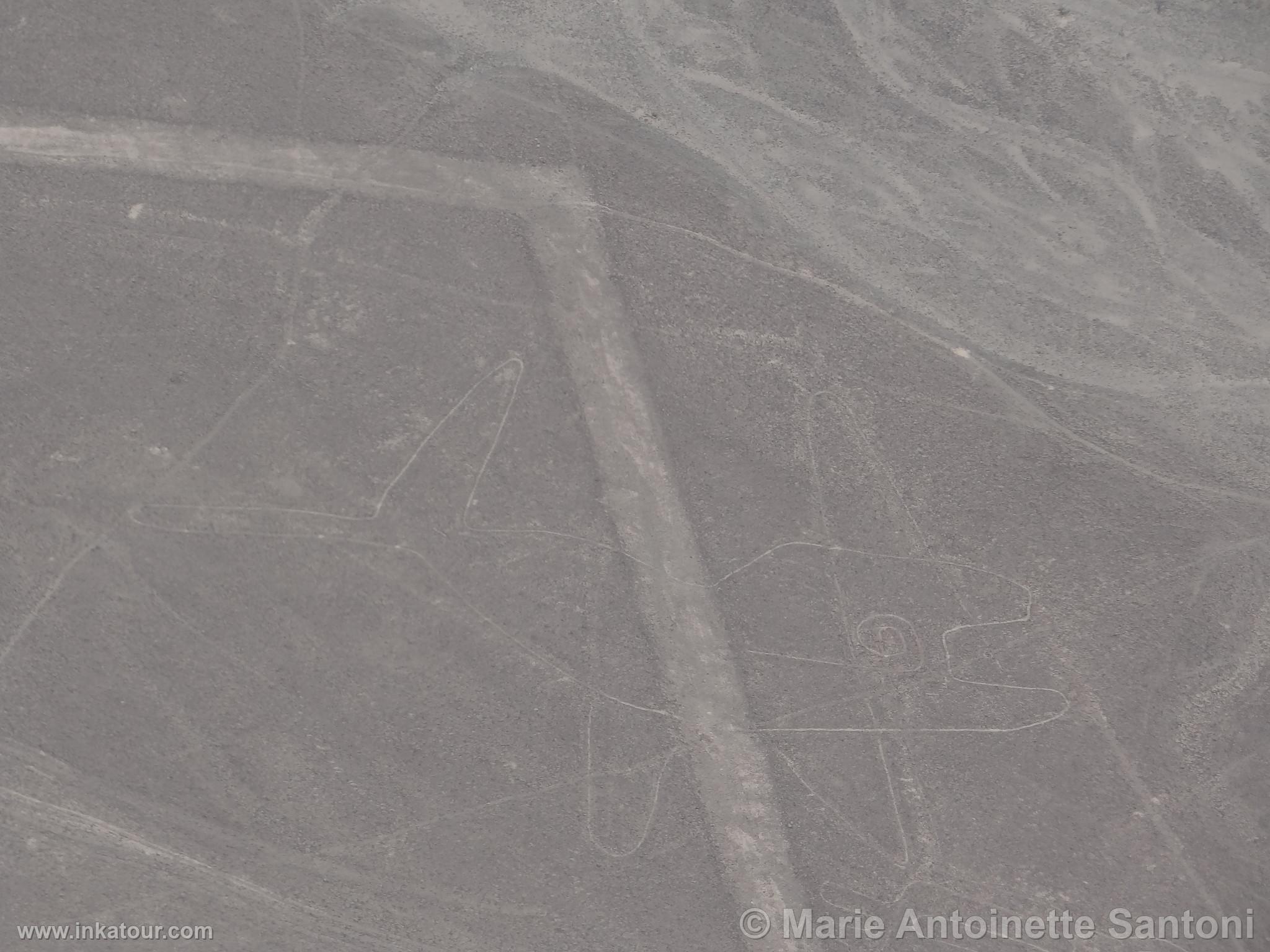 Nazca lines