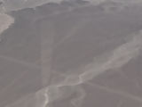 Nazca lines