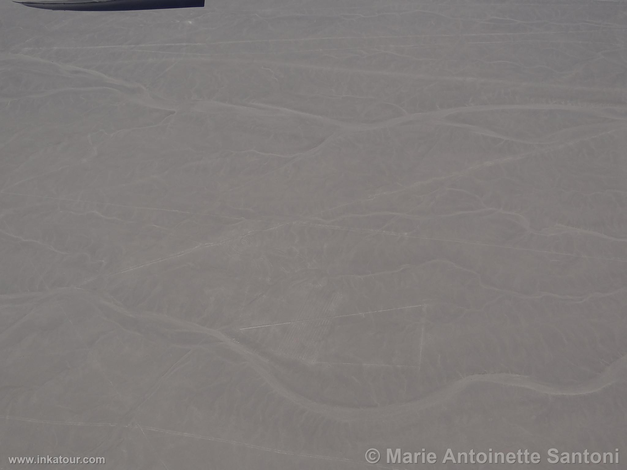 Nazca lines