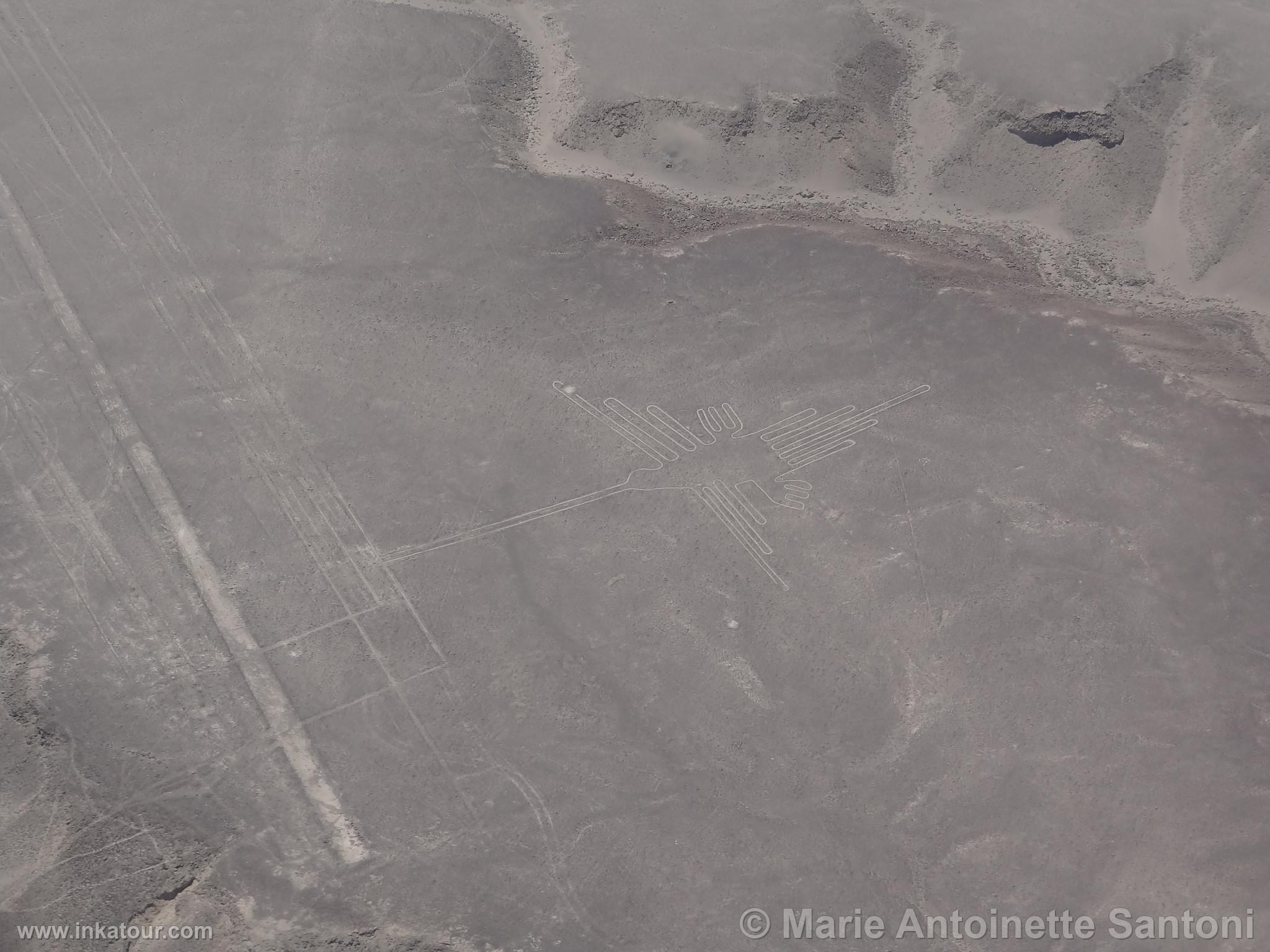 Nazca lines