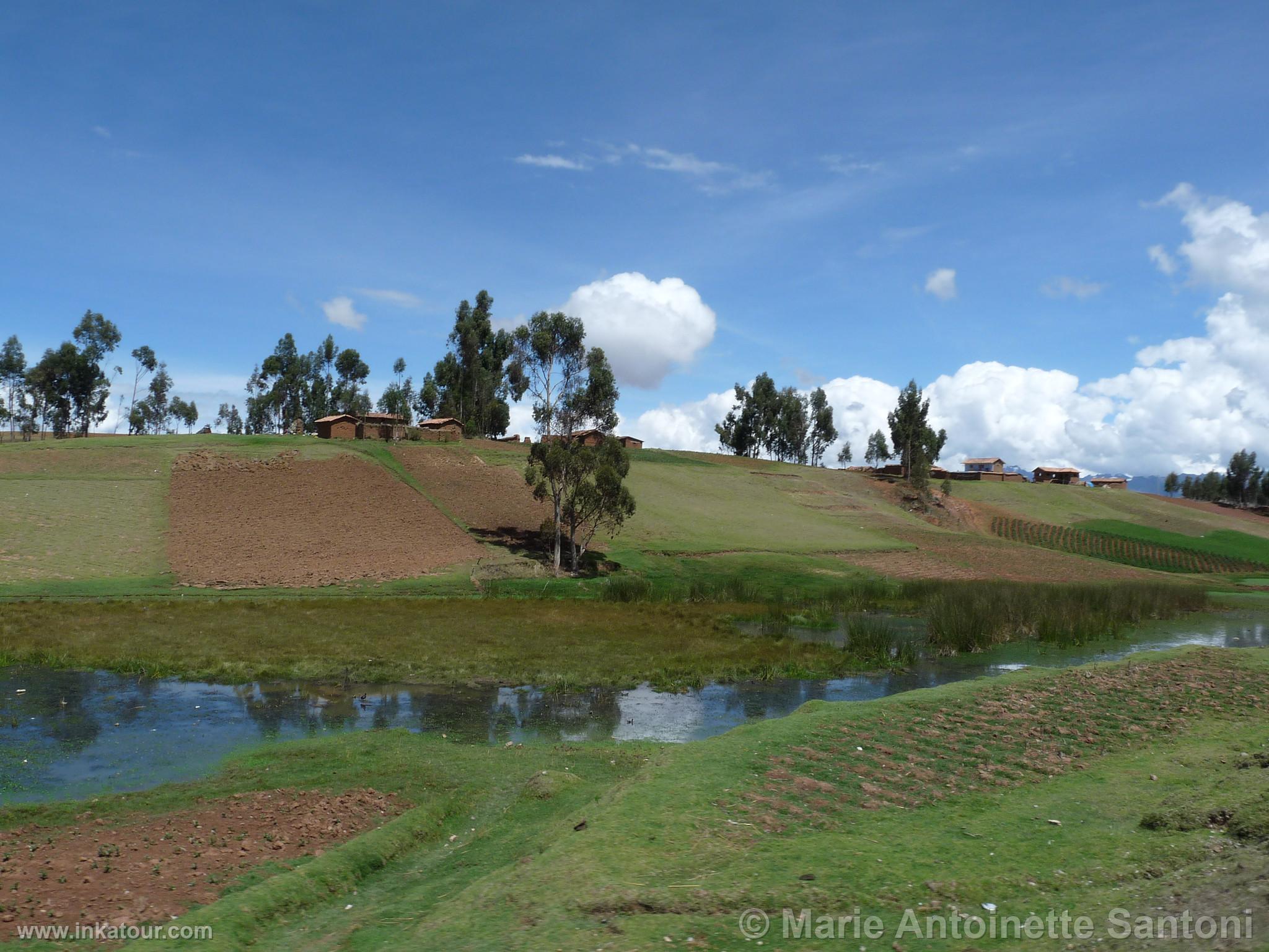 Photo of Peru