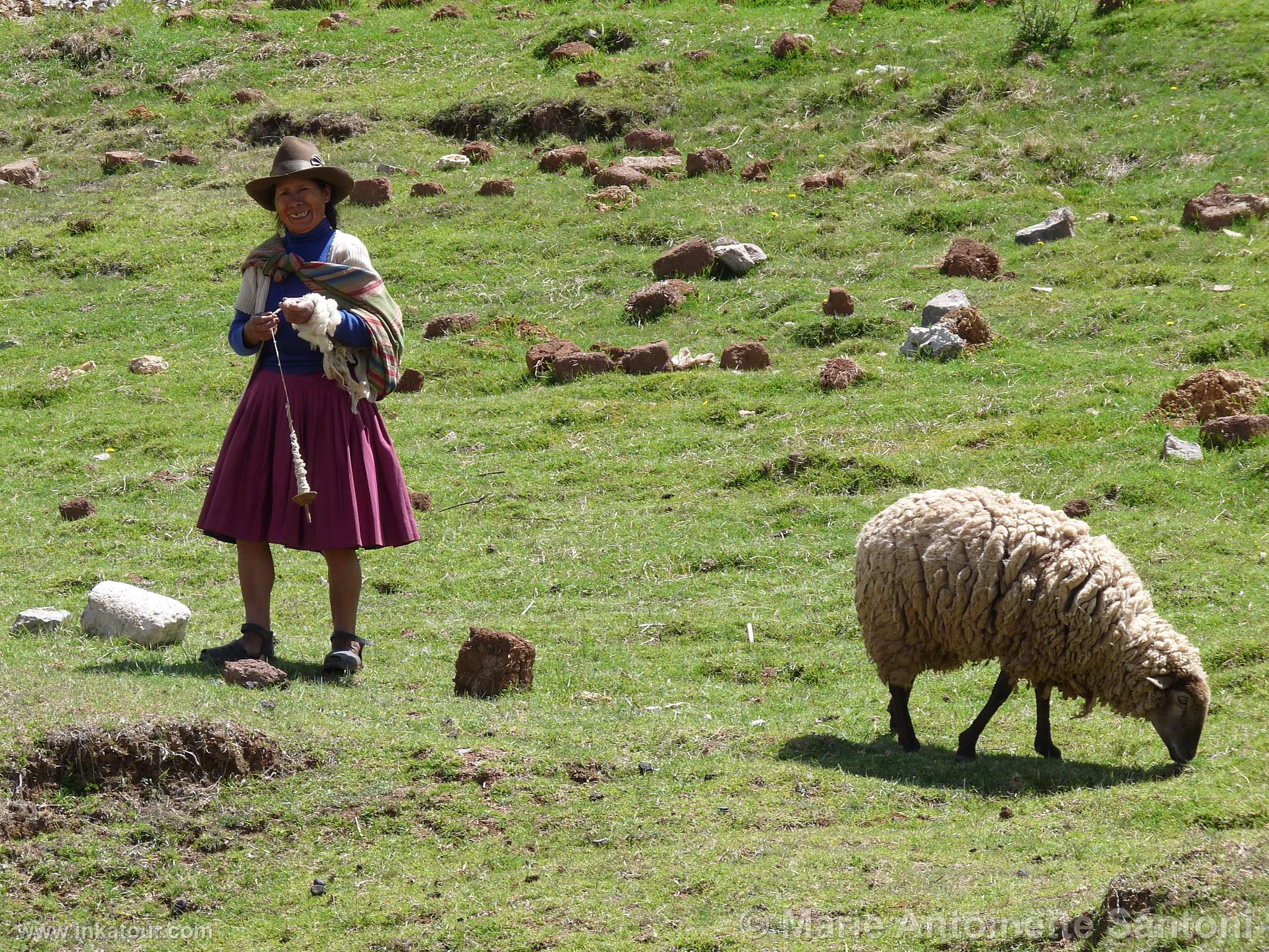 Photo of Peru