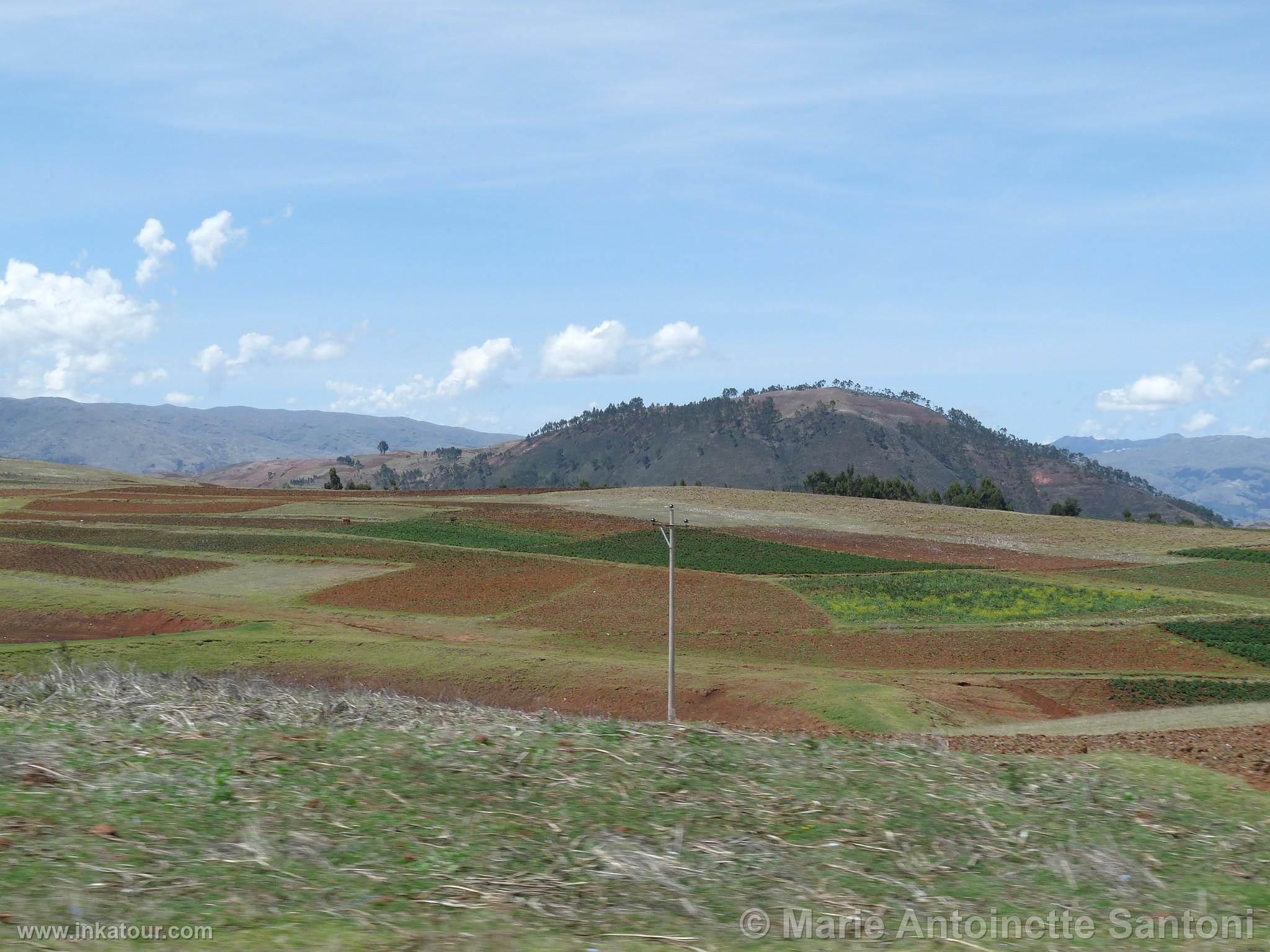 Photo of Peru