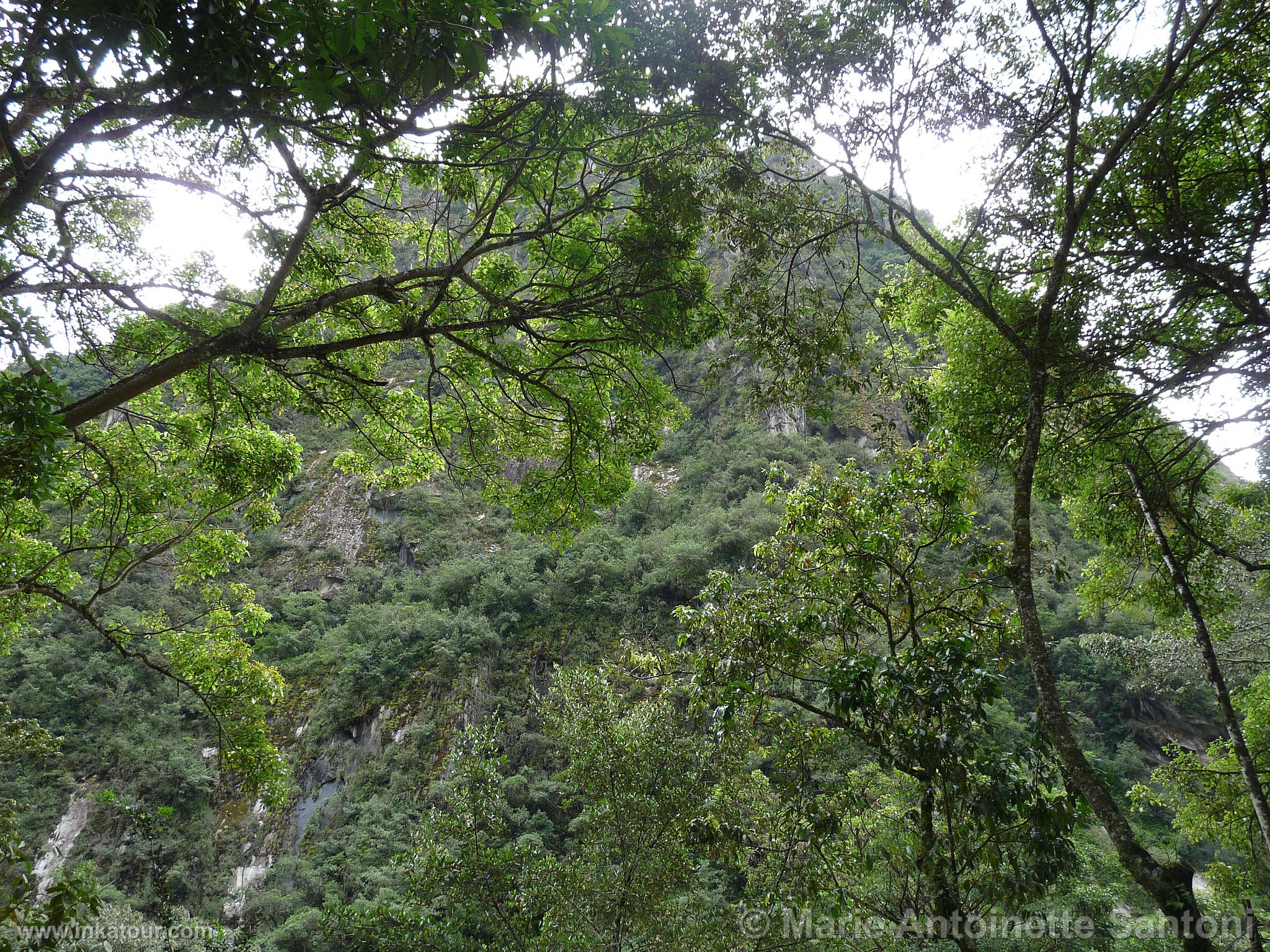 Photo of Peru