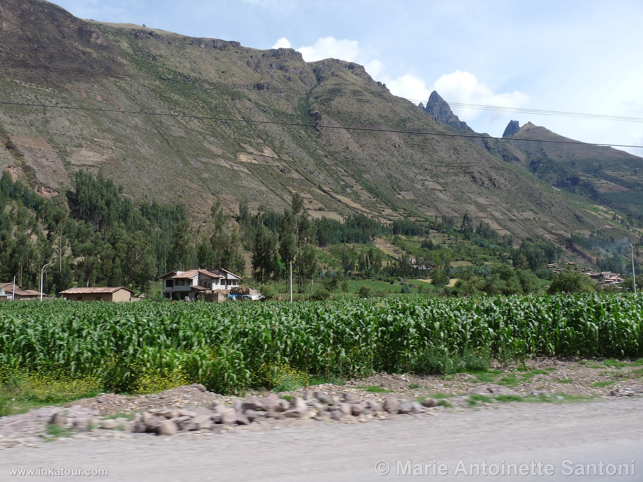 Photo of Peru