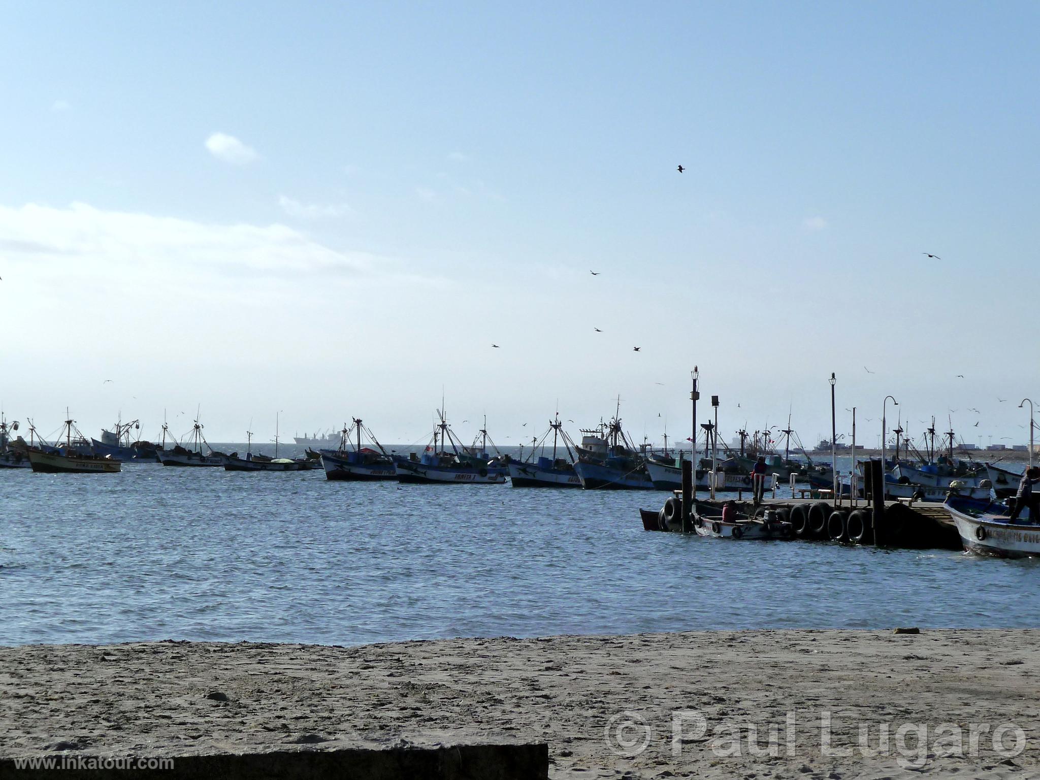 Paracas