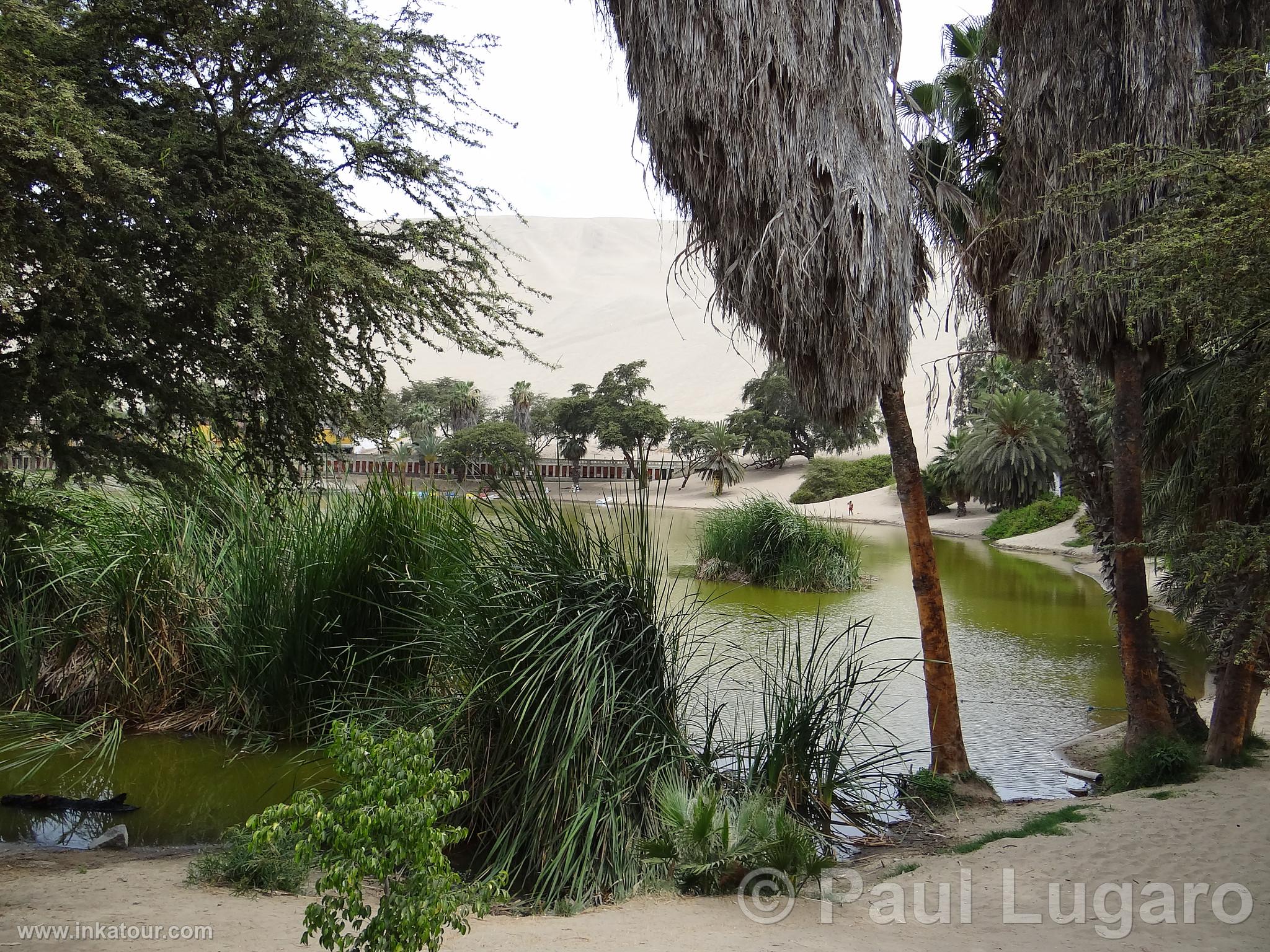 Huacachina