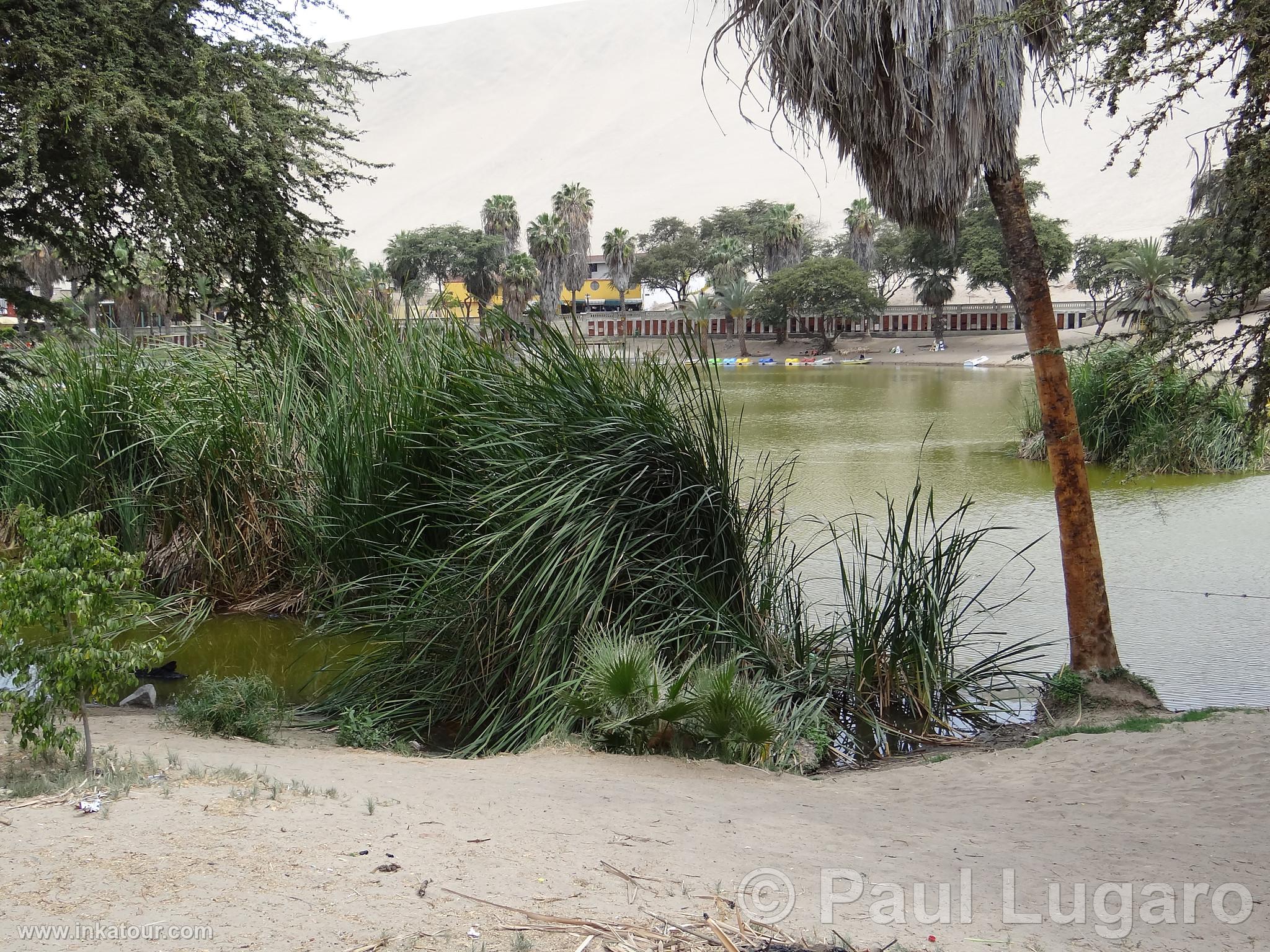 Huacachina