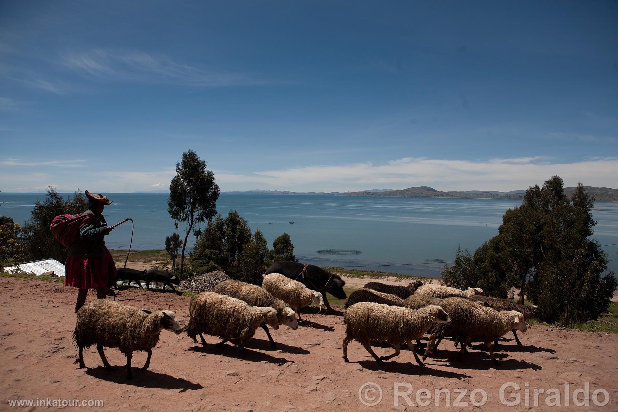 Photo of Peru