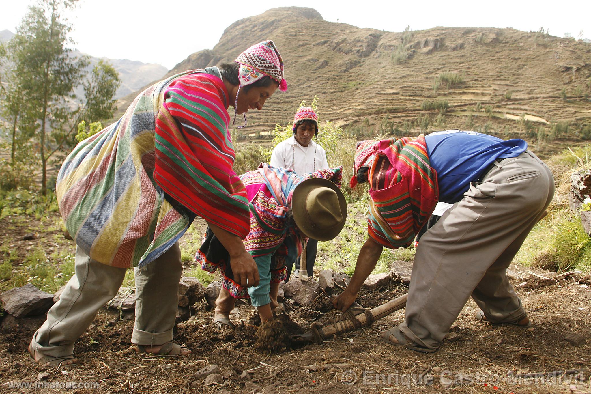 Photo of Peru