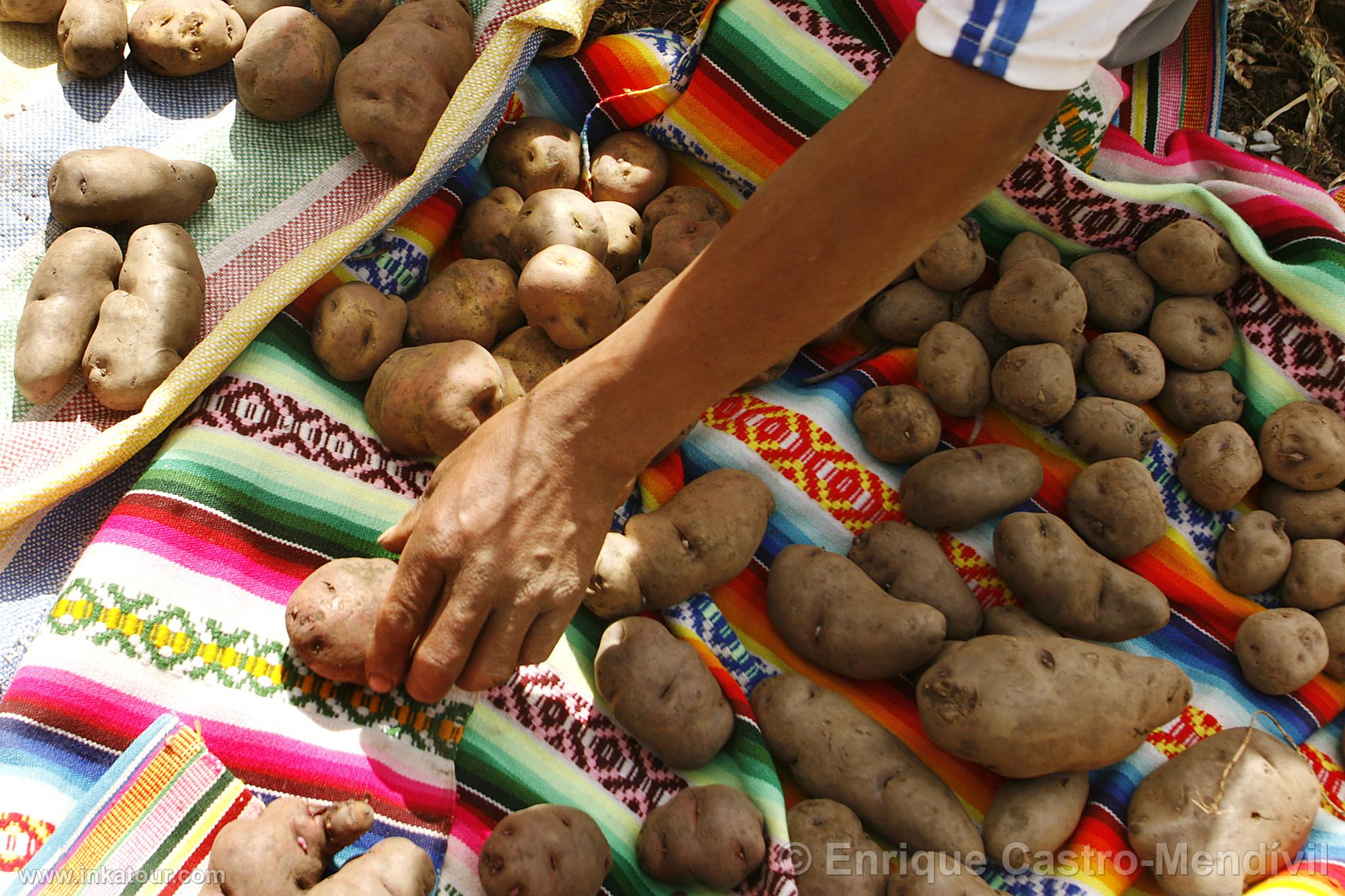 Photo of Peru