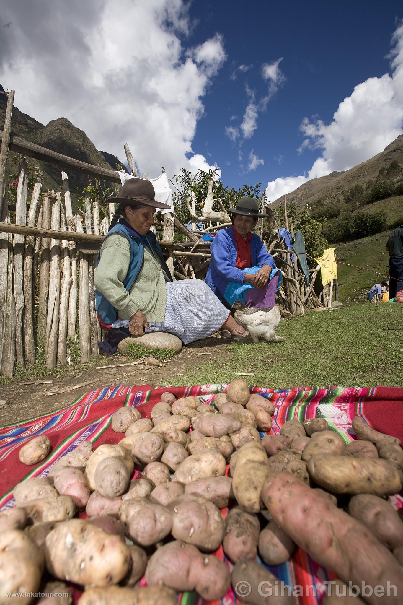 Photo of Peru