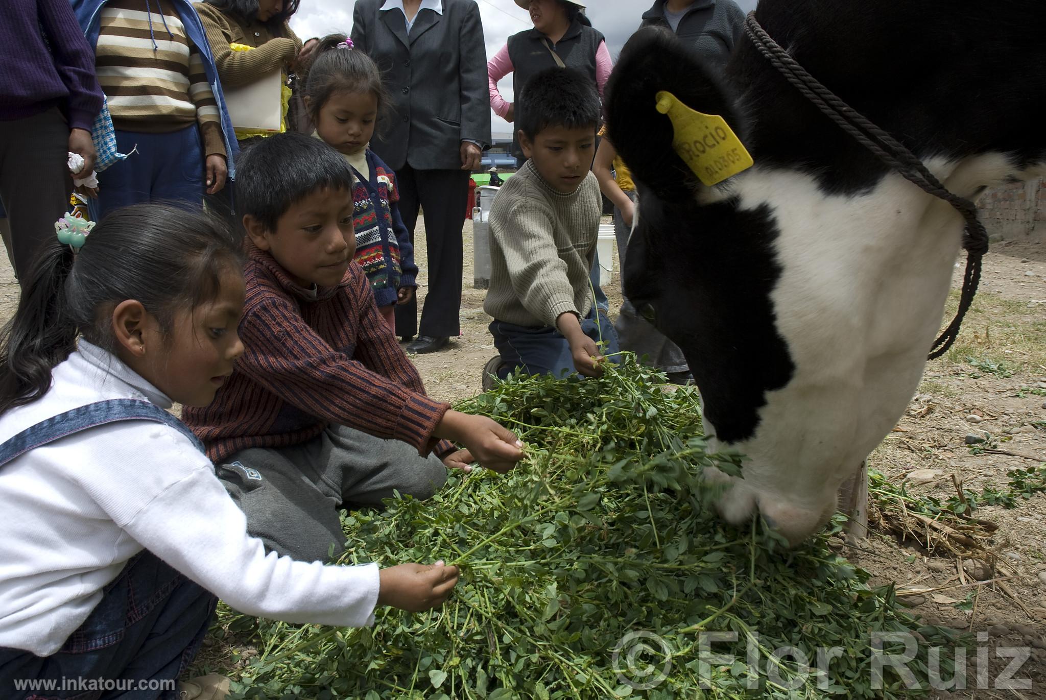 Photo of Peru