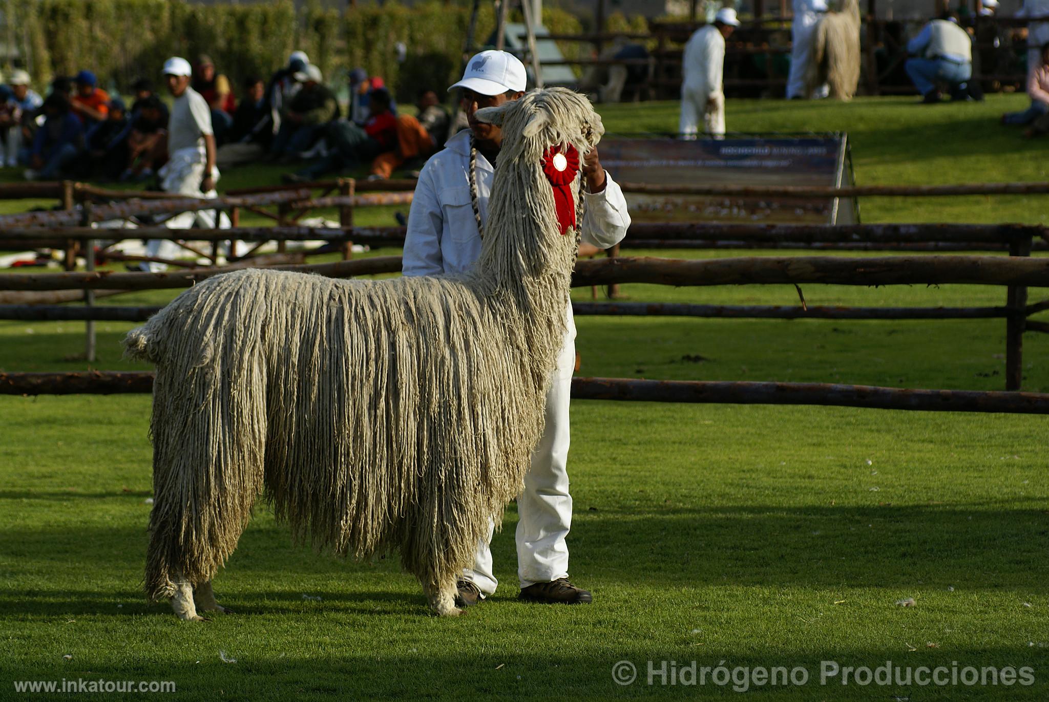 Photo of Peru