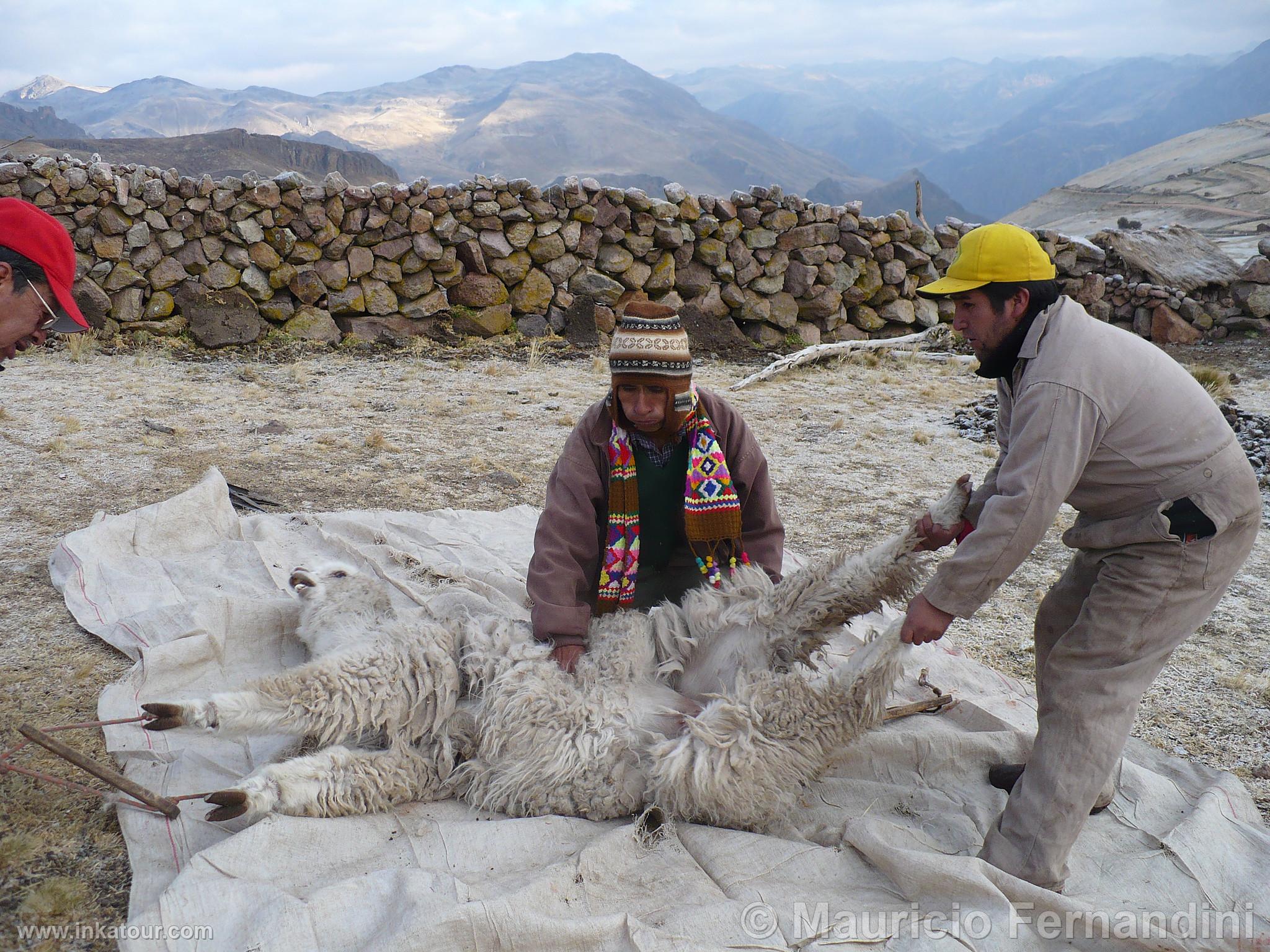 Photo of Peru