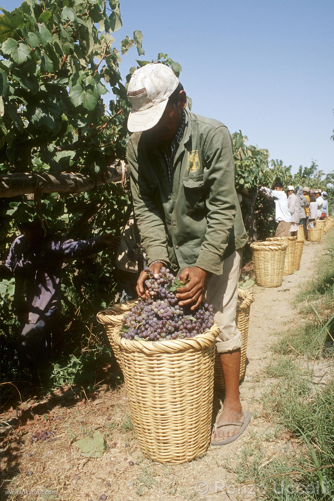 Photo of Peru